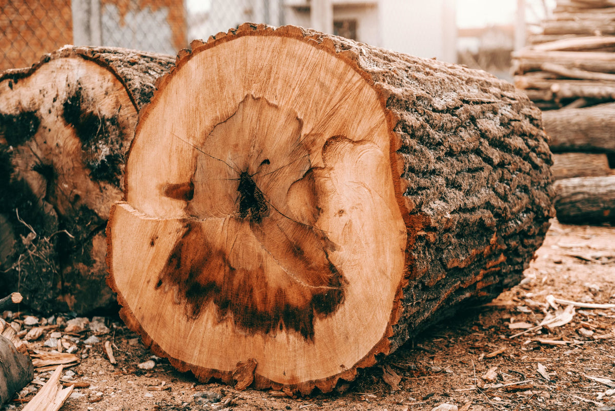 Smooth Finishes on Any Wood: The Power of Sheartak Spiral Cutterheads