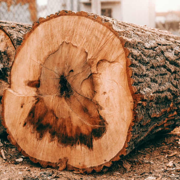 Smooth Finishes on Any Wood: The Power of Sheartak Spiral Cutterheads
